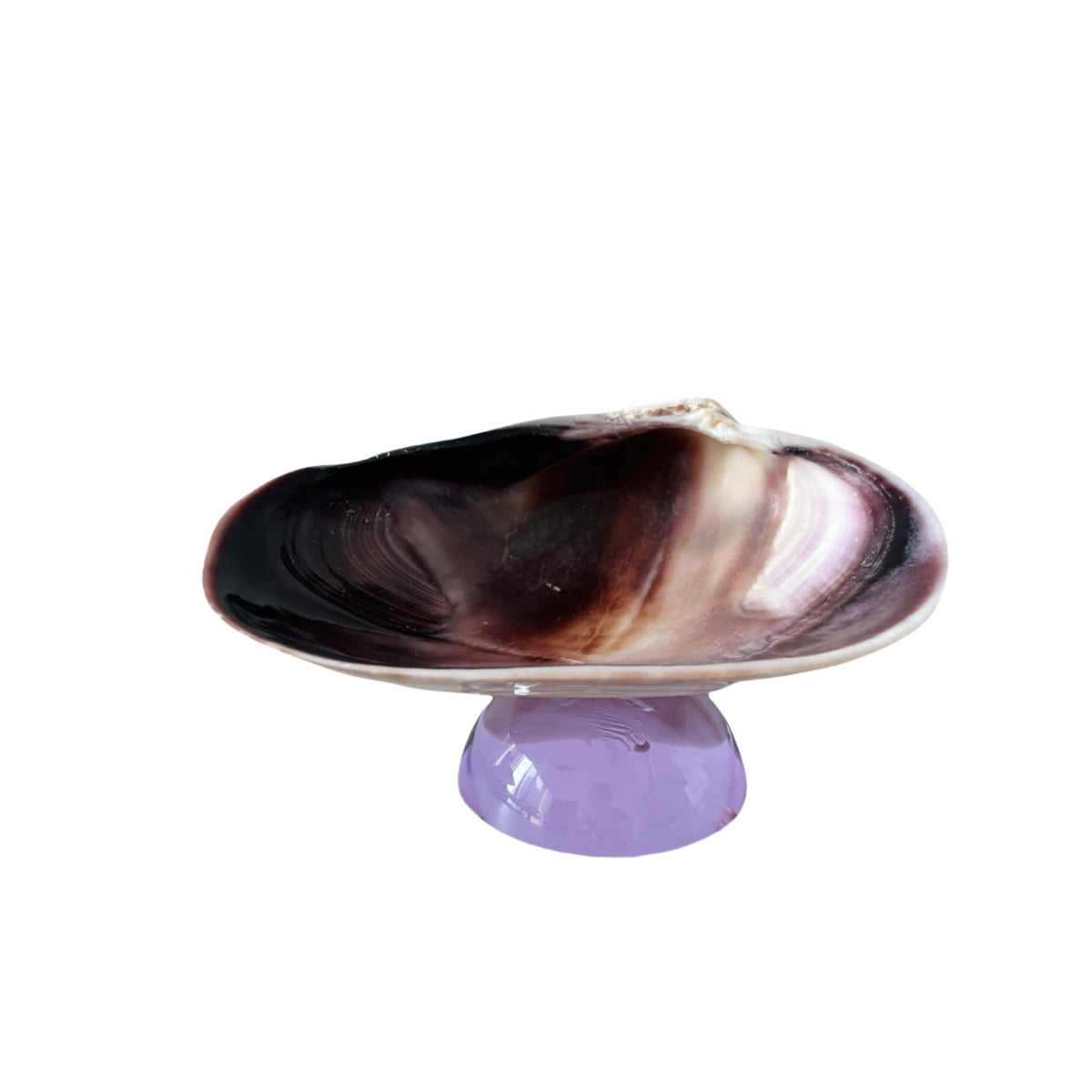 Creative, Retro and Niche Natural Purple Clam Shell Jewelry Tray, Sauce Dish, Dessert Plate, Fruit Plate